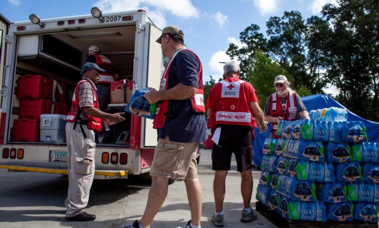 الصليب الأحمر - المنظمات غير الحكومية