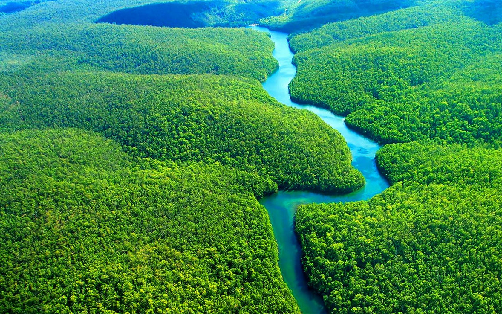 الغابات الاستوائية - الأمازون