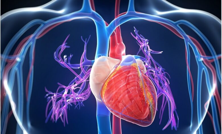 الأعراض الرئيسية لأمراض القلب