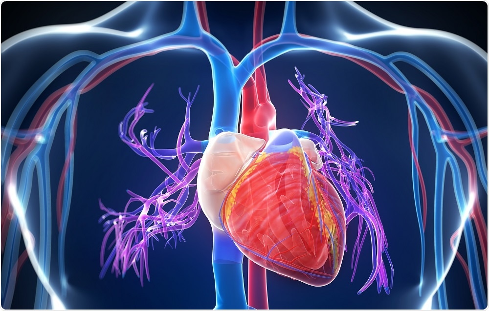 الأعراض الرئيسية لأمراض القلب