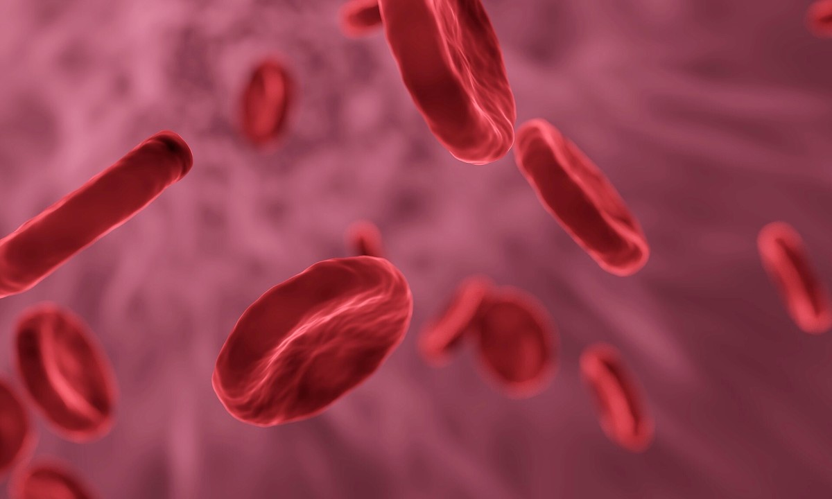 هل يؤثر نوع دمك على خطر الإصابة بـ COVID-19؟ العلماء لديهم إجابات مبكرة